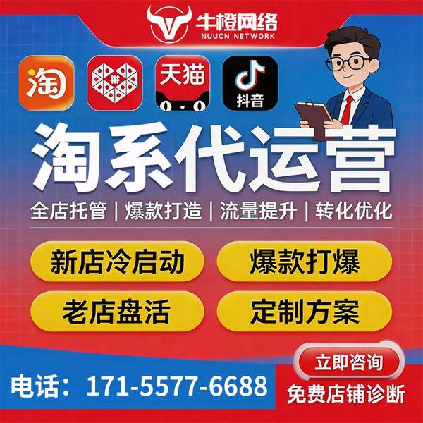 建湖电商代运营