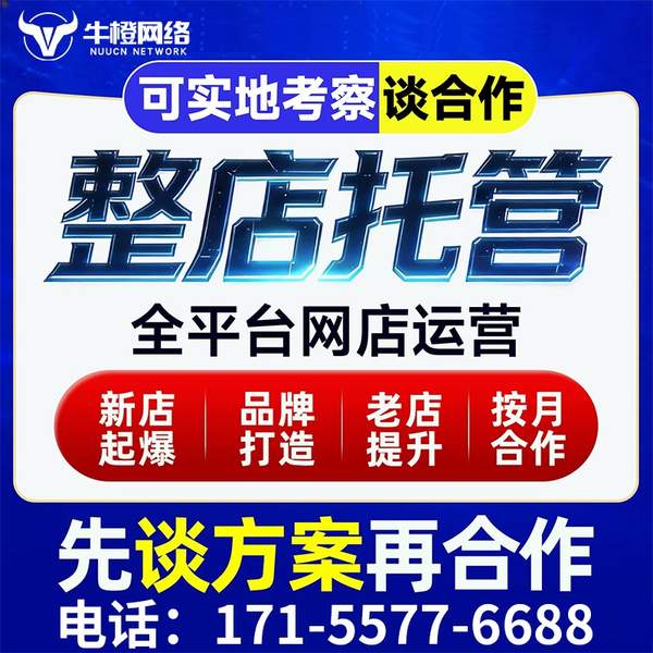 建湖电商代运营