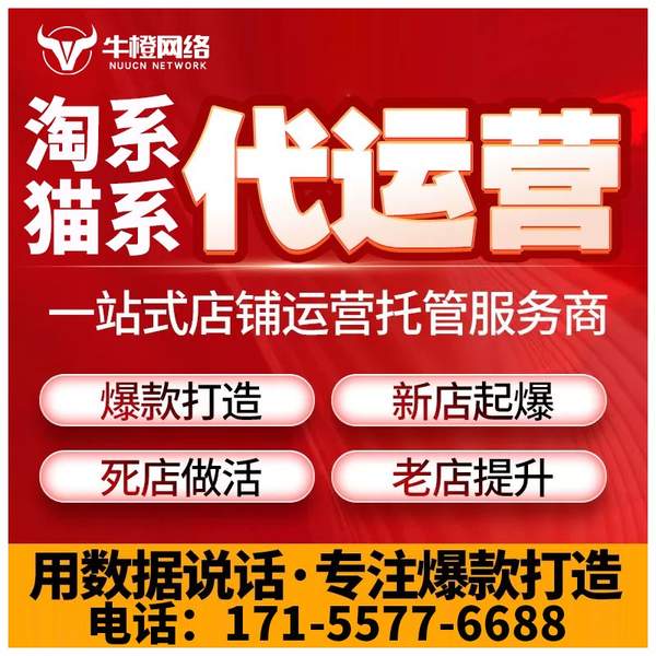 建湖电商代运营